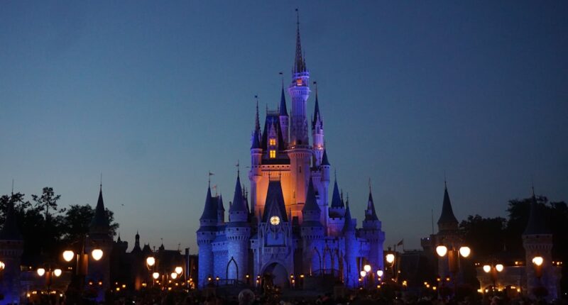 Photo Disney World: Castle