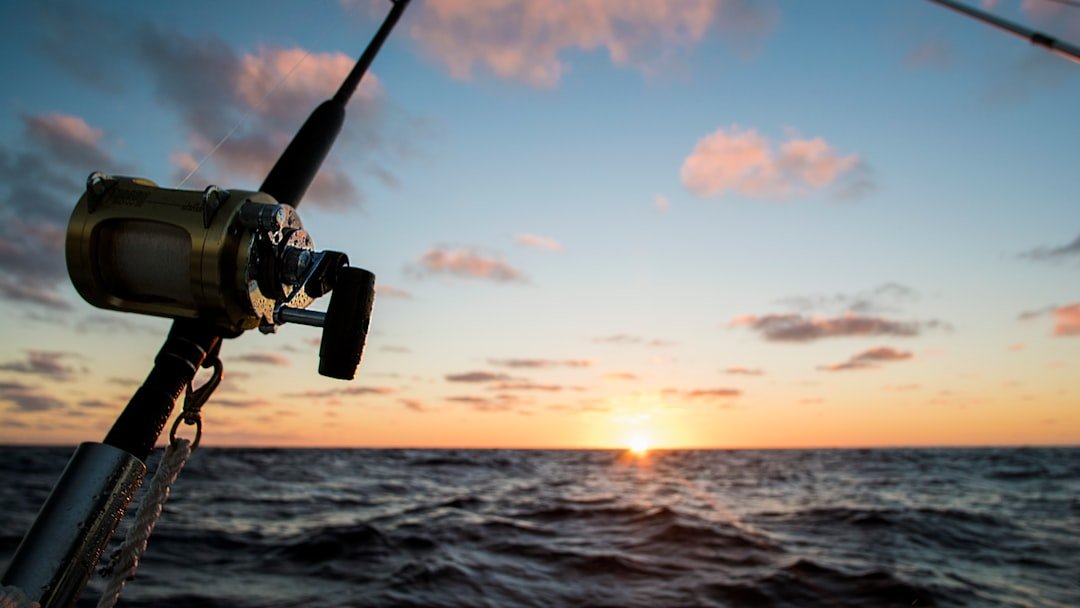 Mastering the Art of Reel Hooks: A Guide to Successful Fishing